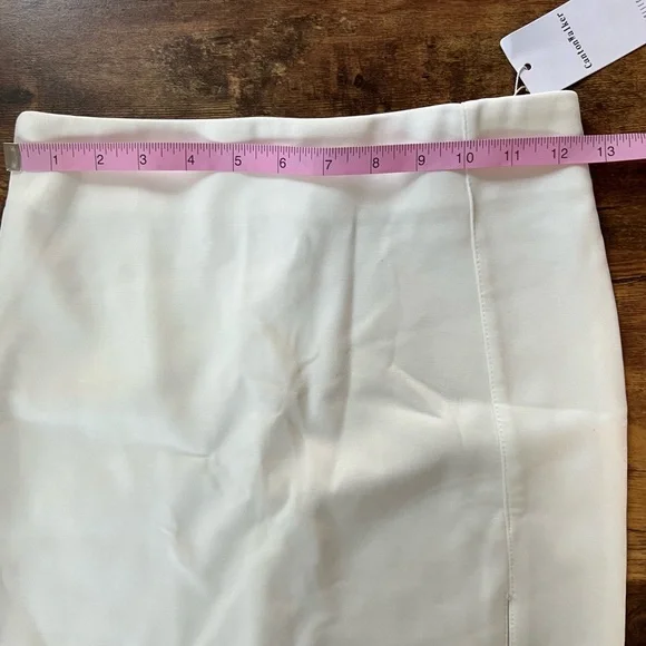 NWT Canton Walker BodyCon Cream Mini Skirt - Picture 6 of 6